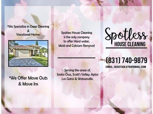 Spotless House Cleaning