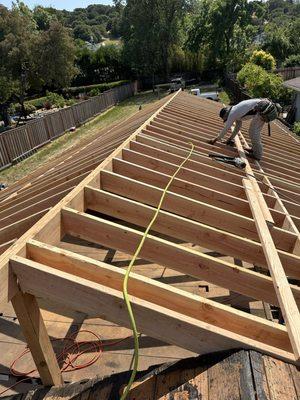 Roof joist