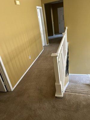 Kings Carpet Cleaning