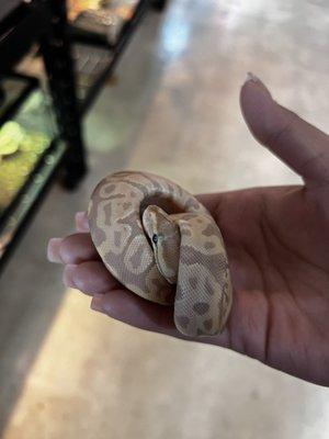 Shes such a pretty baby girl