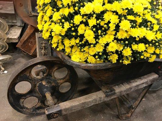 Couch Potato Home Furnishings