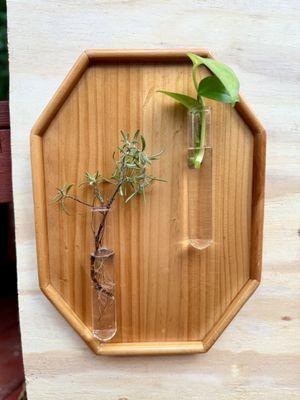 wall mount propagation system- duo, glass magnetic