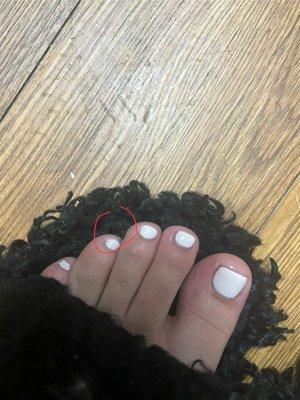 H&N Golden Nails