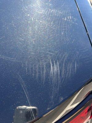 Harbor City Car Wash