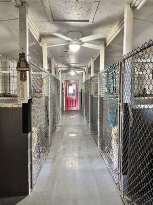 Sturgeon River Kennels