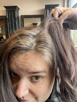 Before! Grey hair mixed with brown and super faded dye!