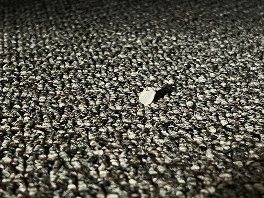 a human tooth found in this dump of a motel.