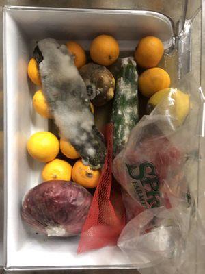 Veggies with the mold from the LG Kenmore Elite