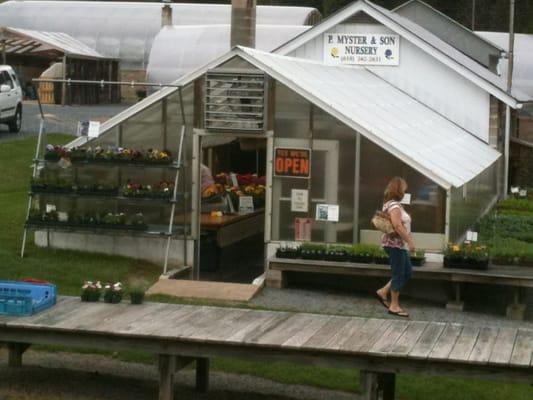 Myster P & Son Nursery