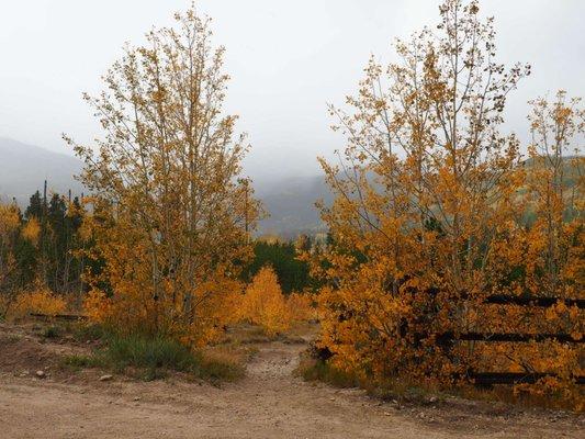 Pingree Park Campus Colorado State