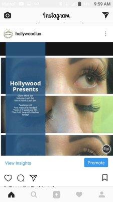 Hollywood Hair & Design