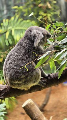 Cleveland Metroparks Zoo