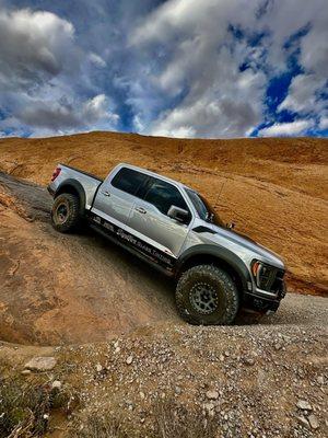 Theodore Robins Ford