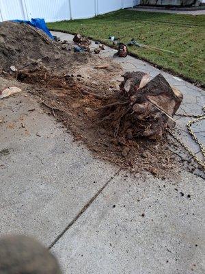 Wise Choice Handyman