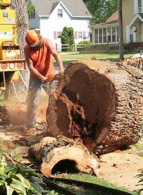 A1 Tree Service & Stump Removal