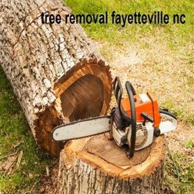 Liberty Tree Service