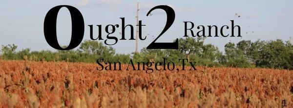 Ought 2 Ranch