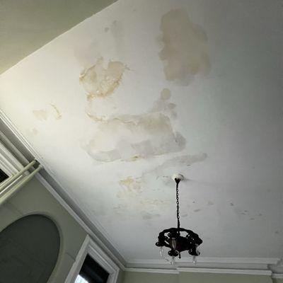 Master Plaster Crafts