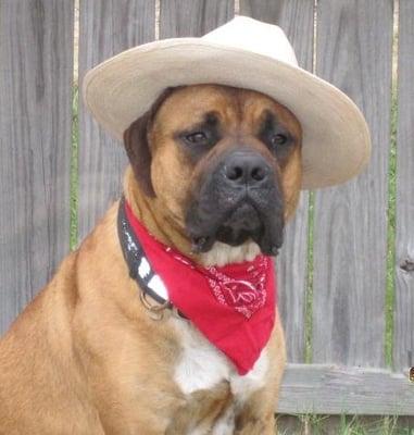 Northside Kountry Kennels