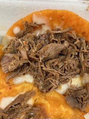 Habia un cabello en mi quesabirria