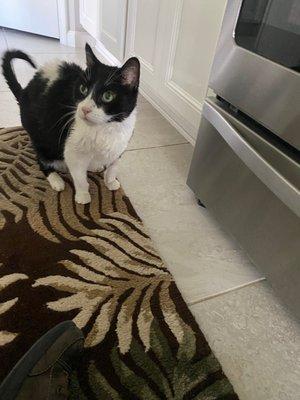 ApothiCare 360 Pharmacy