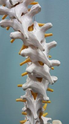 Oswald Family Chiropractic