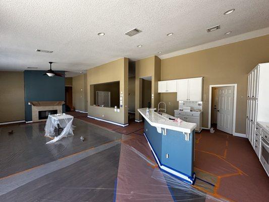 Preferred Choice Painting