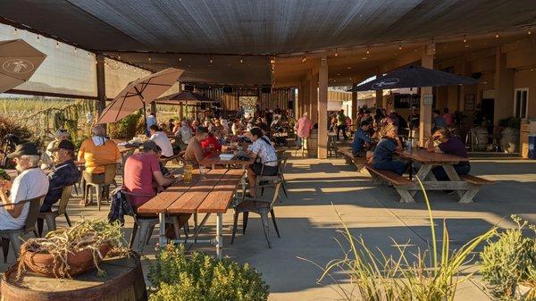 Berryessa Gap Vineyards Estate Winery