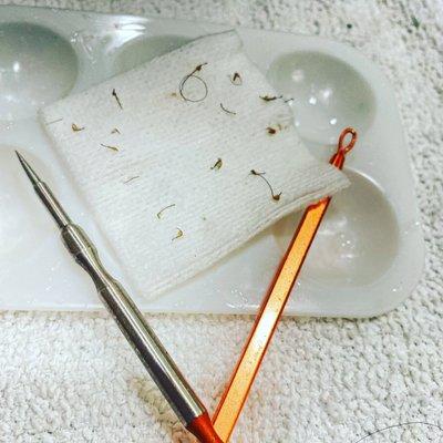 The Good...The Bad...The Ugly!