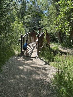 Gailey Trail at Nicholls Park