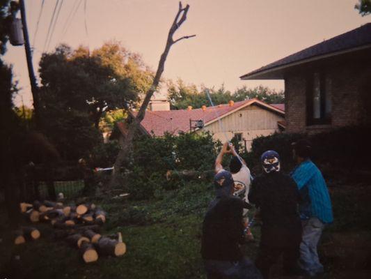 Early Bird Tree Service