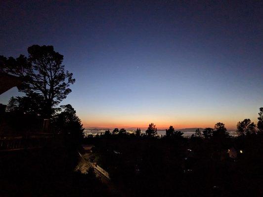 Piedmont Pines Neighborhood