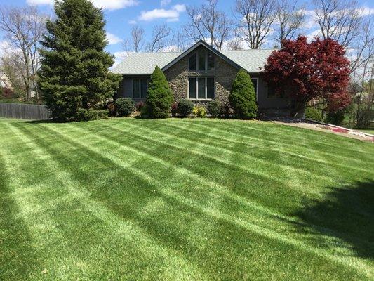 Supreme Cuts Lawn & Landscaping