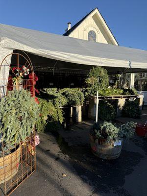 Prickett's Nursery Healdsburg