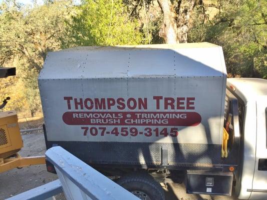 Thompson's Tree
