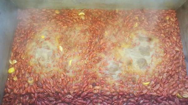 Pat's Seafood & Cajun Deli