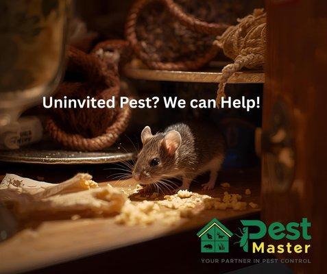 Pestmaster of Luzerne