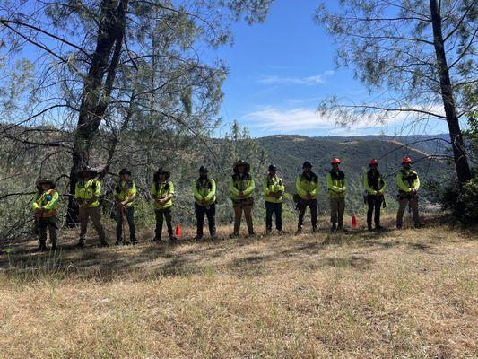 American Tree Medics