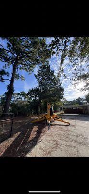 5 Star Landscape and Tree Services