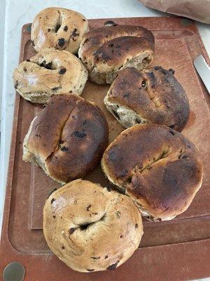 Bagel Factory II