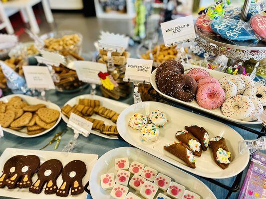 Splash & Dash Groomerie & Boutique