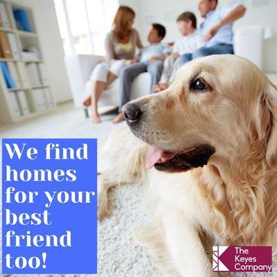 Diane Gray - The Keyes Company