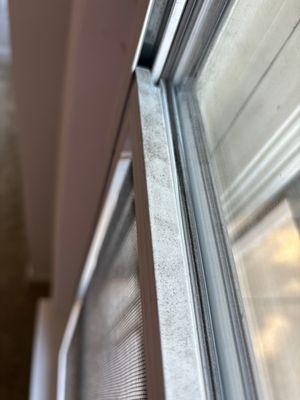 Mr. Sparkle Window Cleaner