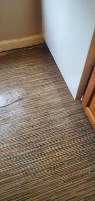 The Residences At Bella Vista