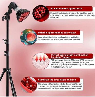 Figures Body Contouring