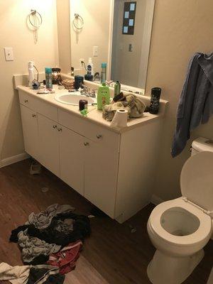 Nubian Queens Cleaning Services