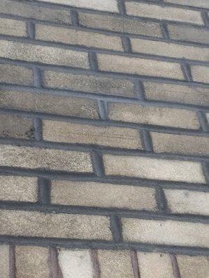 DARDEN'S FIREPLACE CLEANOUTS