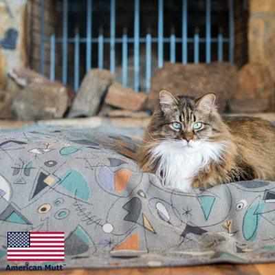 CoreBlu Pet Bed with Waterproof Reversible Bed Cover Blanket