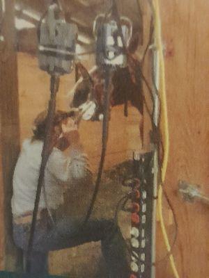 All State Equine Dental