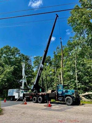 Malec Tree Service